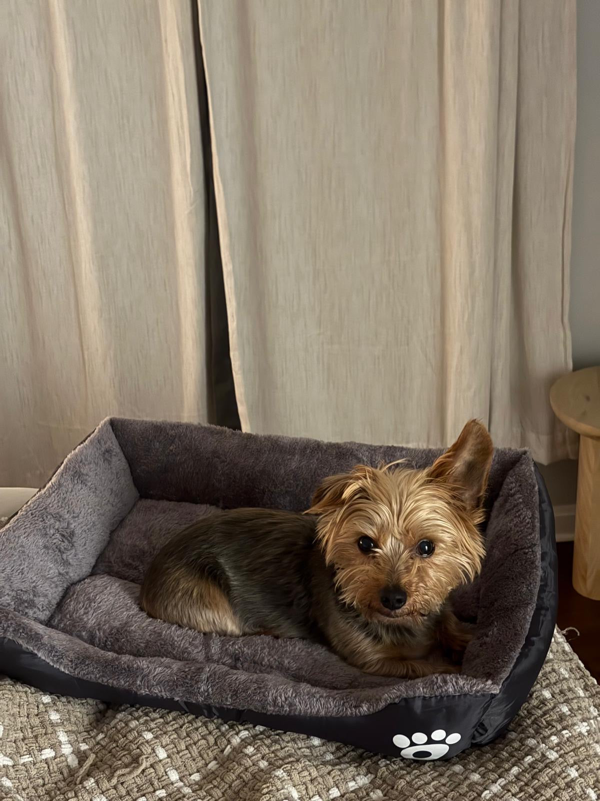 Puro Amor CozyNest Plush Pet Bed