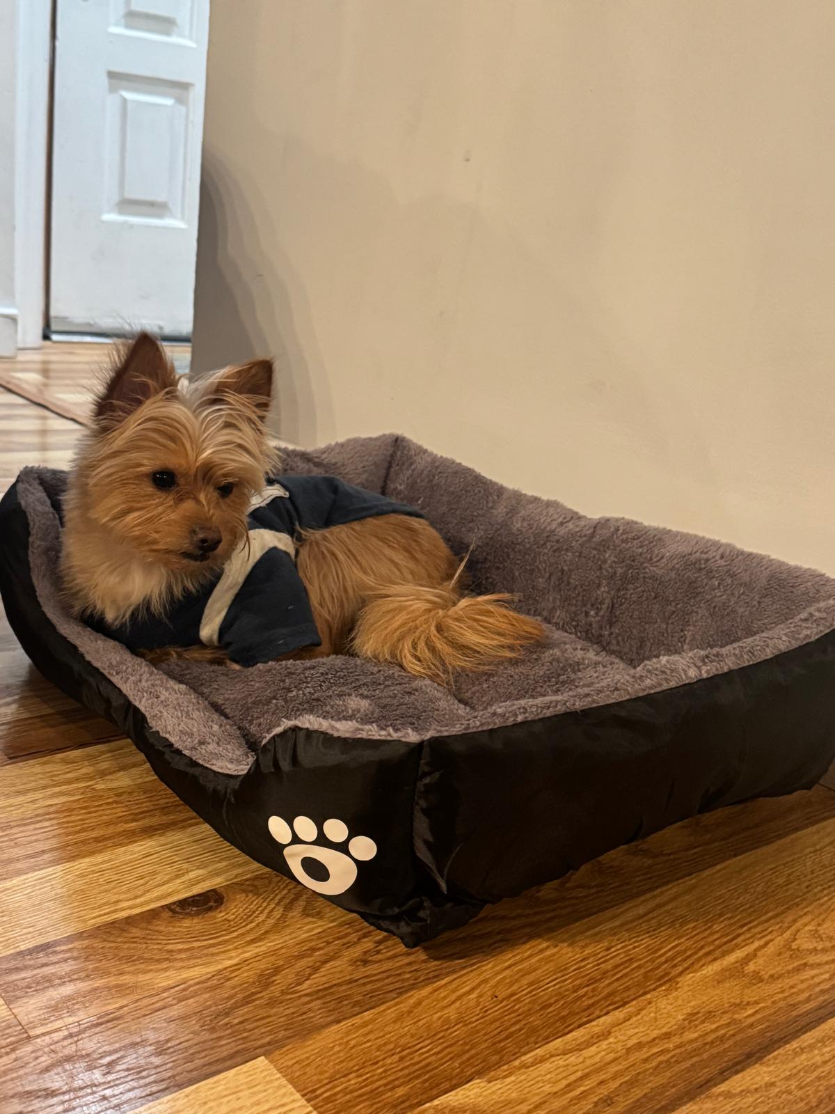 Puro Amor CozyNest Plush Pet Bed