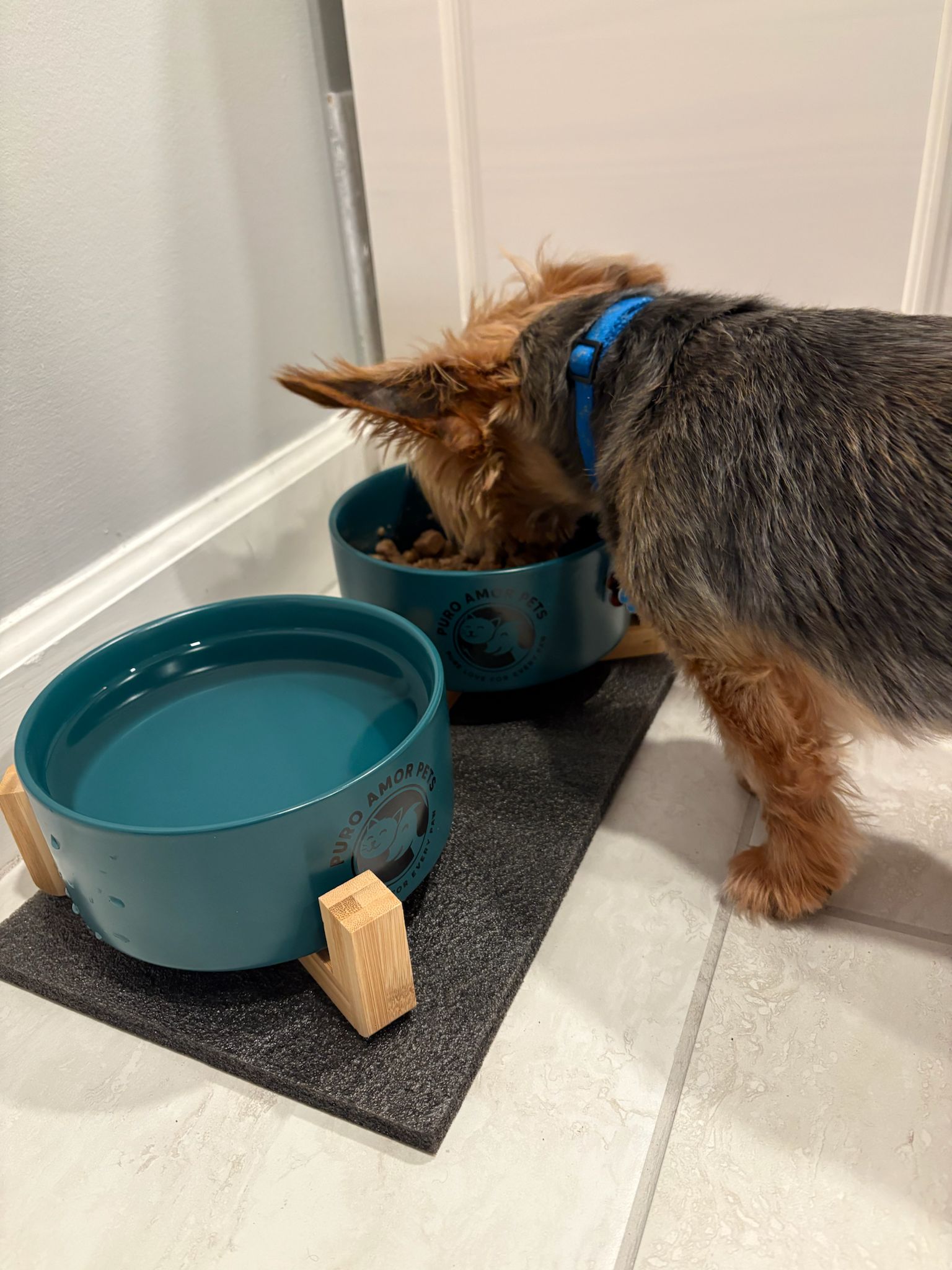 Puro Amor Pets – Premium Double Elevated Ceramic Bowl Set